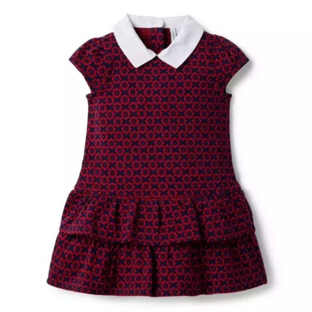 Janie and Jack Floral Drop Waist Jacquard Red and Blue Dress